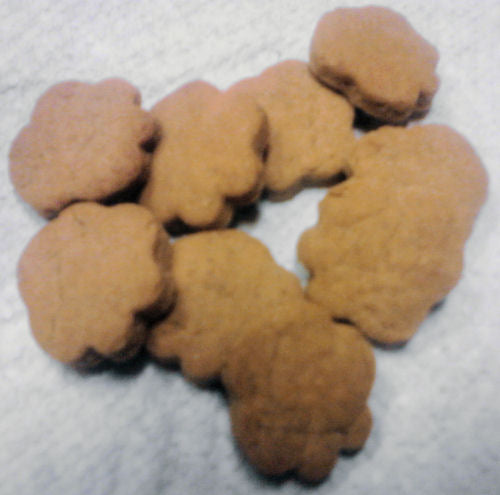 Mini Paw Shaped Pet Treats - Container - Dog/Cat