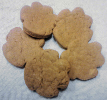 Paw Shaped Pet Treats - Container - Dog/Cat